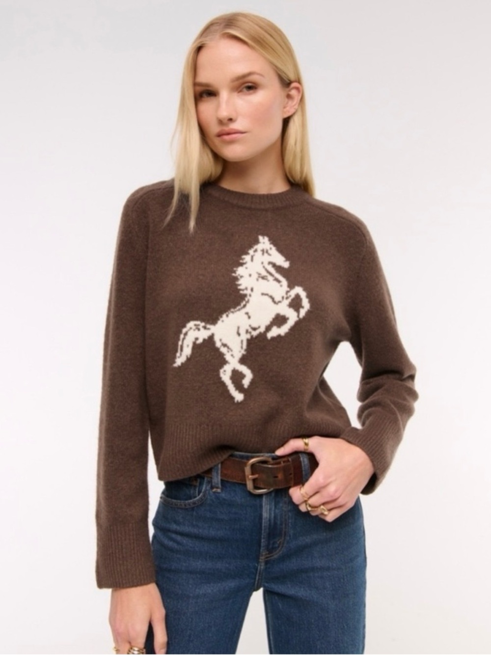 Abercrombie & Fitch Women’s Horse Sweater Brown Equestrian NWT Small